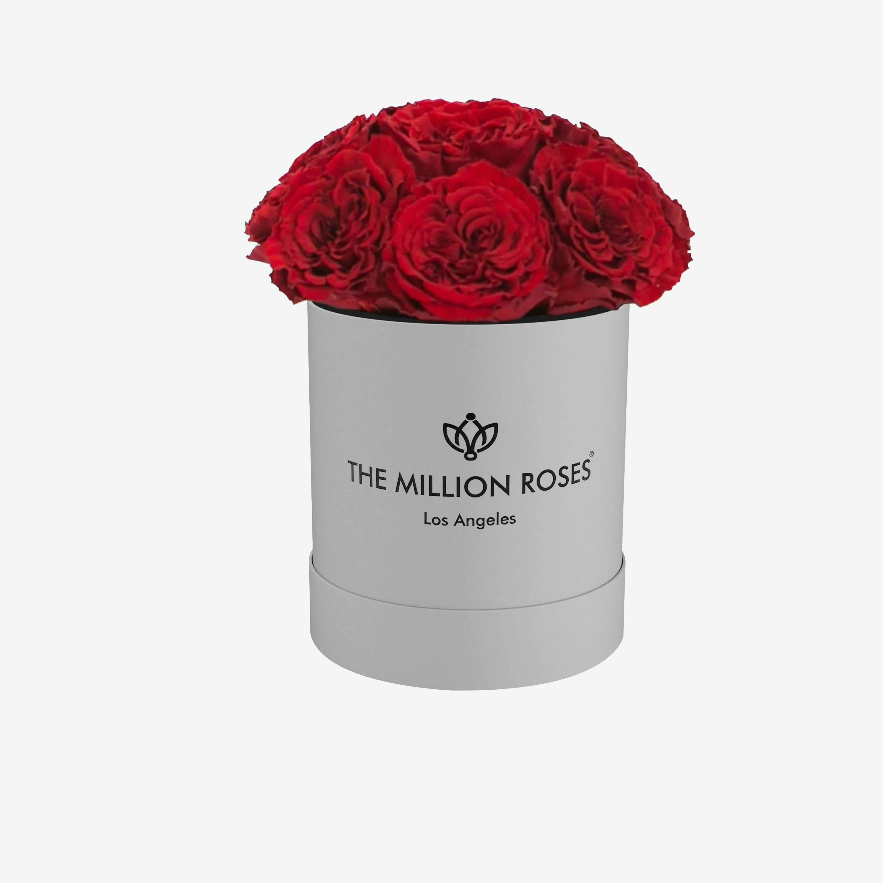 Basic White Dome Box | Red Carmen Roses