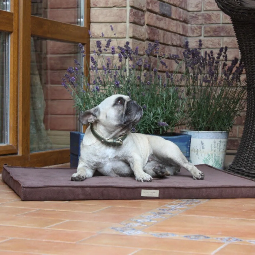 Bowl and Bone Chocolate Foam Dog Mat