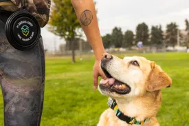 Dog Travel Bowl